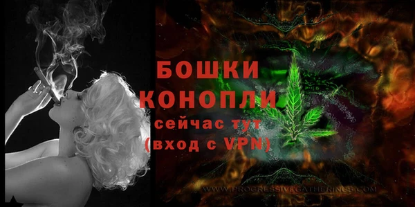 прущие грибы Богородицк