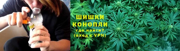 прущие грибы Богородицк